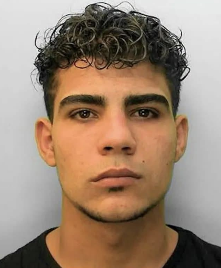 Rapist asylum seeker fights deportation claiming removal to Egypt would breach his human rights