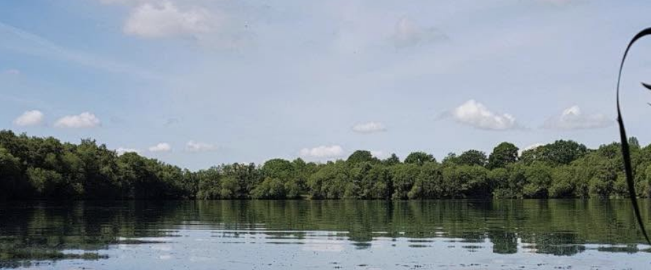 Emergency search launched after cries for help heard near Gloucester lake
