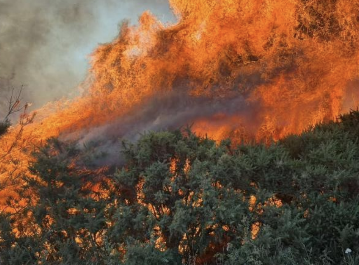 New Forest wildfire fully surrounded after firefighters battle blaze for seventh night