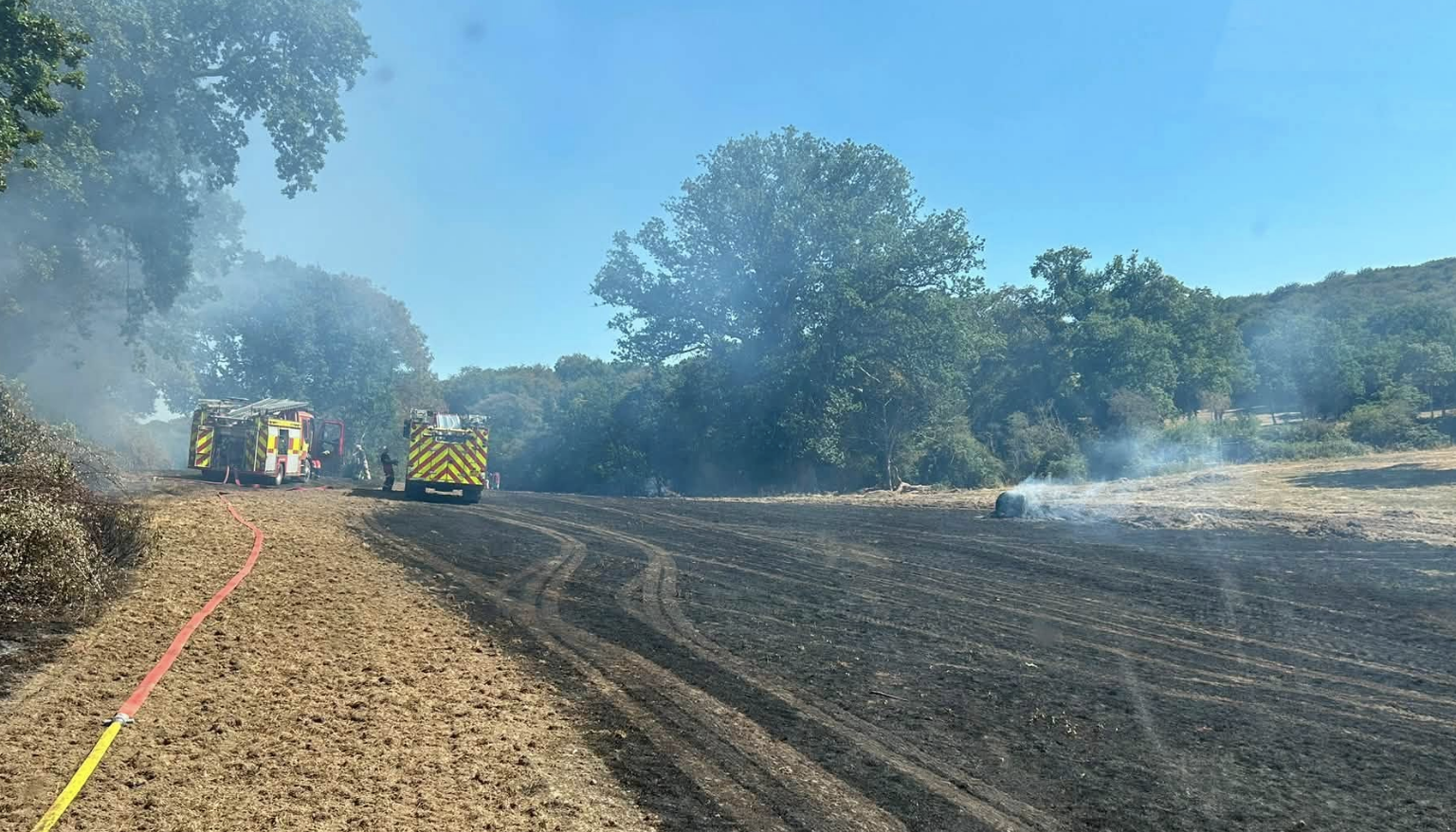 Firefighters Battle Large New Forest Field Fire in Scorching Temperatures