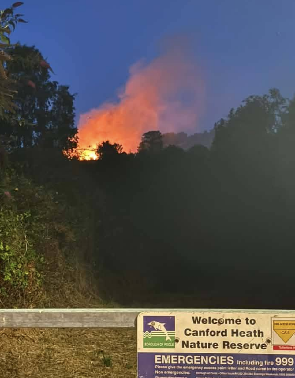 Canford Heath fire contained after crews tackle blaze affecting gorse and heath