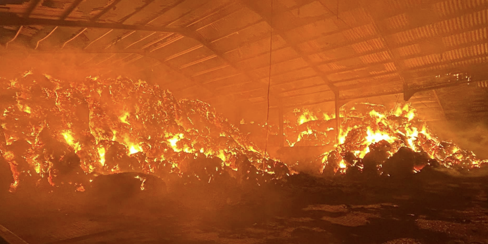 Firefighters face busy weekend tackling major incidents across Dorset and New Forest
