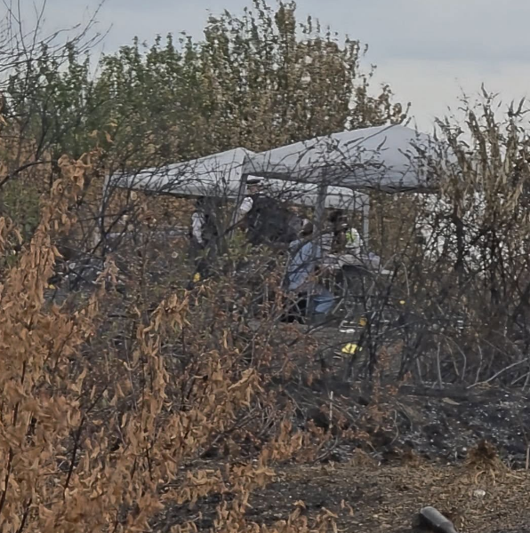 Murder investigation launched after woman’s remains found in Feltham woodland