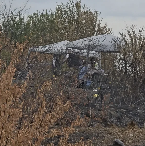 Murder investigation launched after woman’s remains found in Feltham woodland