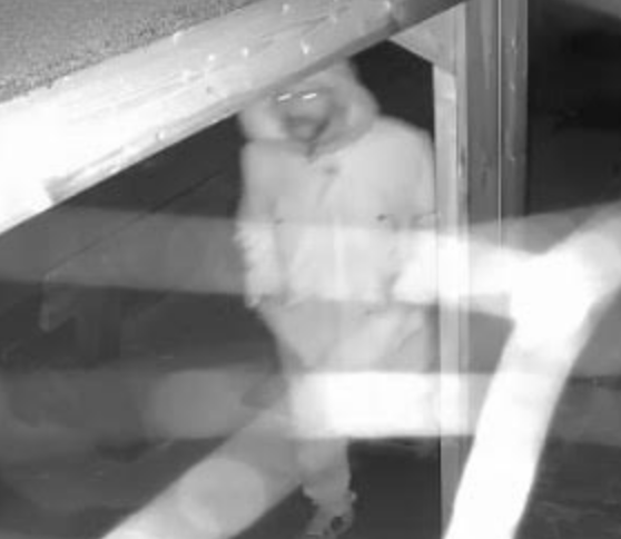 CCTV appeal after windows damaged at Ashford hockey club