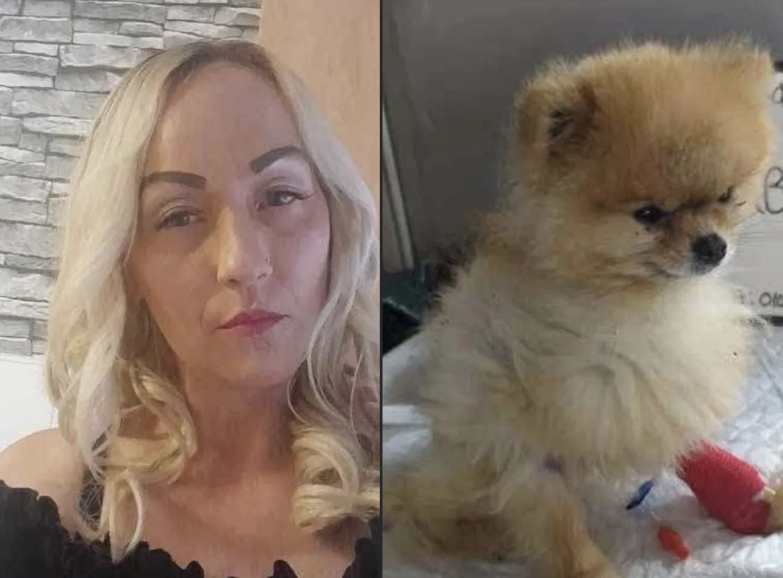 Woman banned from keeping dogs after severely underweight Pomeranian found weighing just 800 grams