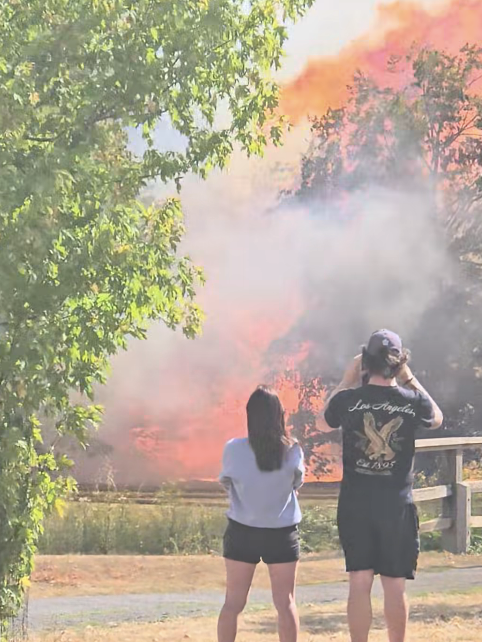 Fire breaks out in Rectory Park, Northolt as residents warned to stay away