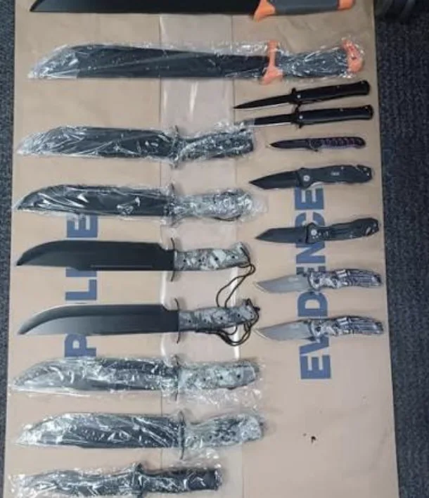 Met officers saw through front door in dawn raid on suspected knife smuggler