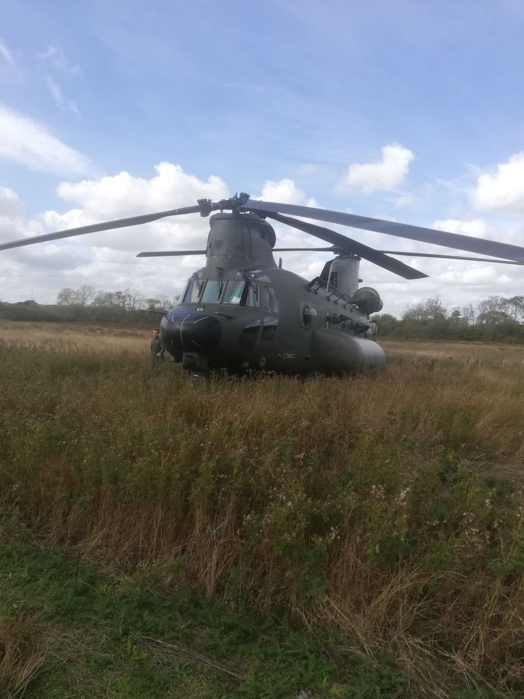 RAF Chinook forced to land near Chippenham after bird strike during training flight