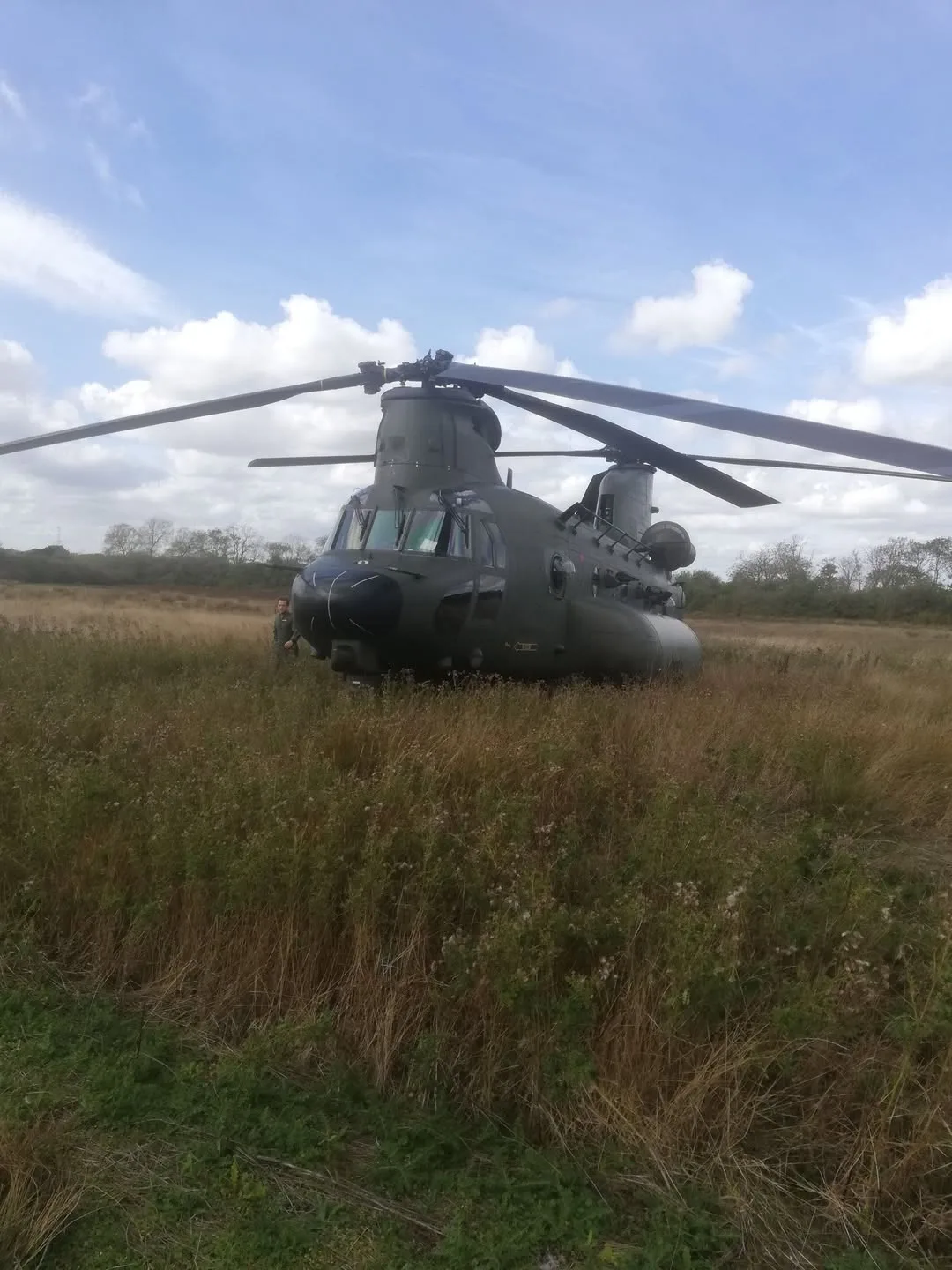 RAF Chinook forced to land near Chippenham after bird strike during training flight