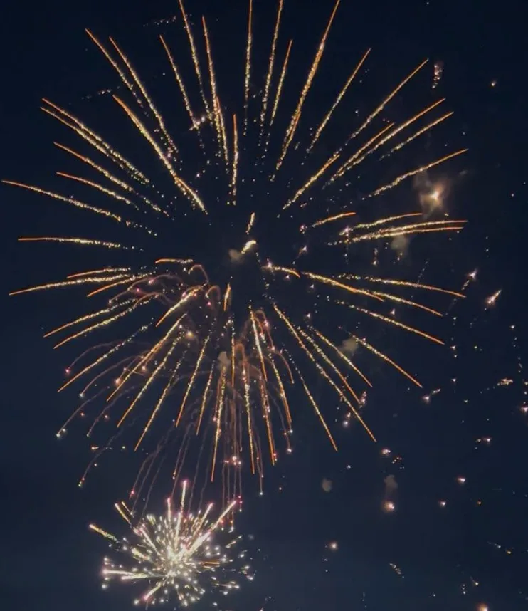 Government considers tougher fireworks rules as public consultation opens