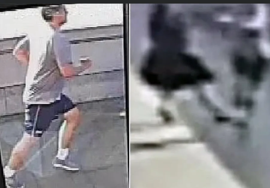 Putney Pusher suspect released under investigation nine years after woman shoved into path of bus