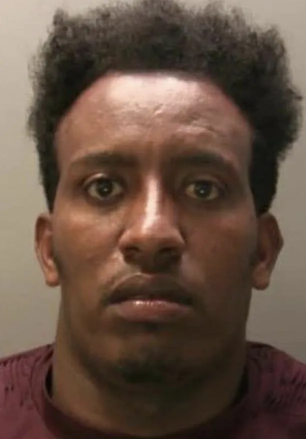 Convicted sex offender faces lengthy jail term after raping woman following release from prison