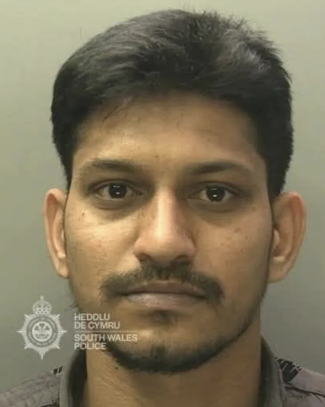 Sex predator jailed for eight years after following lone woman and attempting to rape her in Swansea