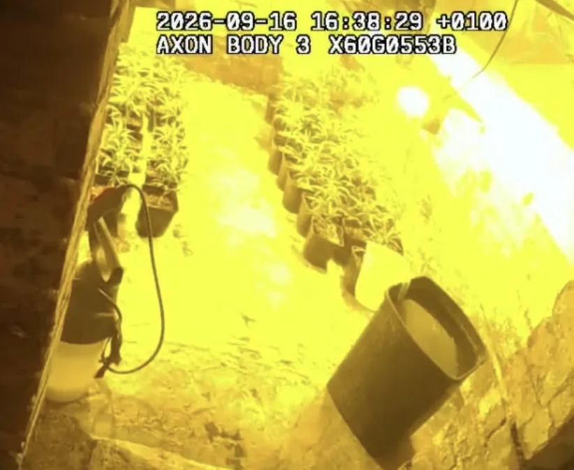 Four charged after cannabis grow found beneath Leamington nail bar