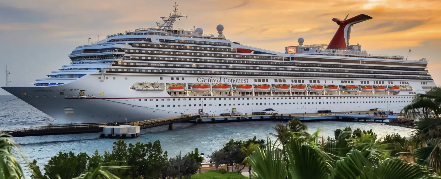 Carnival cruise passenger missing after going overboard during voyage from Mexico to California