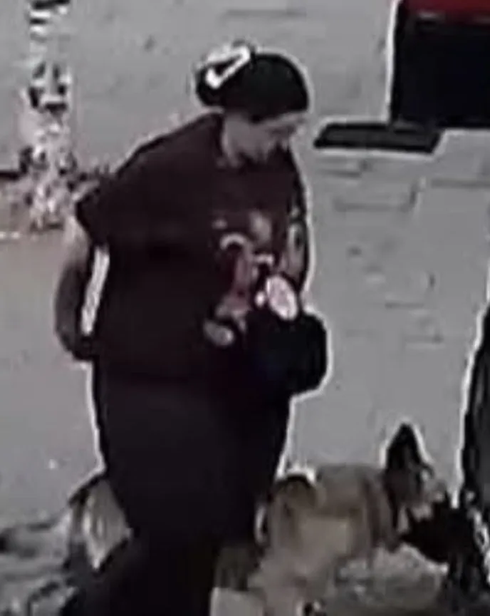 Police appeal after one-year-old boy bitten in face by dog in Southampton