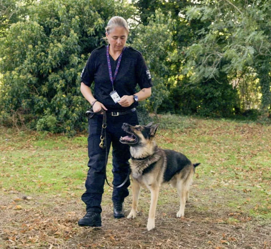 Northamptonshire police dogs Bryn and Ebby retire after almost seven years of service