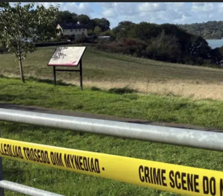 Urgent search for mother after newborn baby found dead on shoreline near Menai Strait