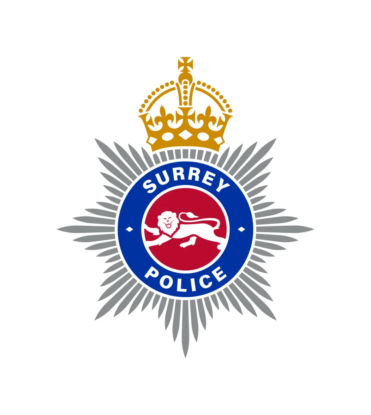 Surrey Police to investigate corruption allegations over handling of council misconduct probes