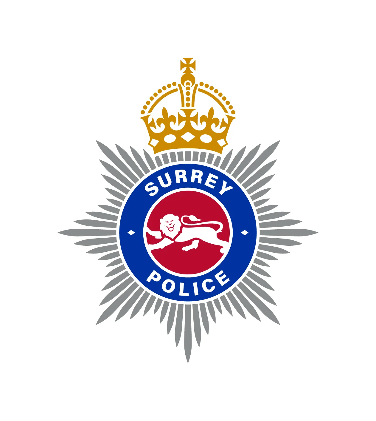 Surrey Police to investigate corruption allegations over handling of council misconduct probes