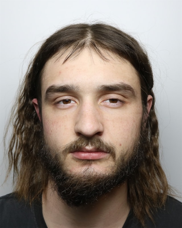 Thief jailed after stolen car hits 100mph before crashing off A303