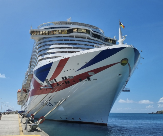 P&O Cruises crewman died after entering lift shaft aboard Arvia, MAIB finds