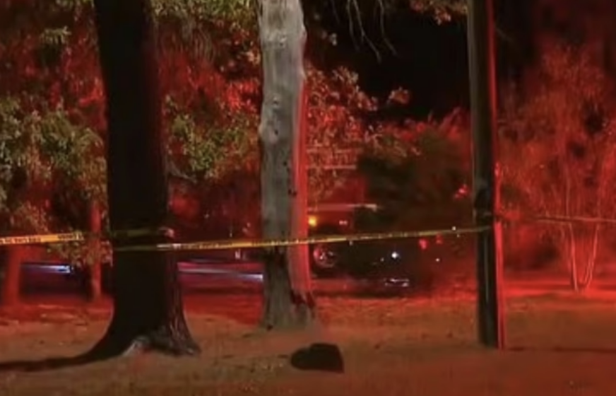 Six killed including child after plane crashes in Wisconsin woodland