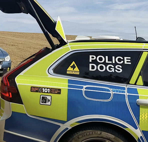 Police stop wanted man while searching for fleeing driver in Brierley