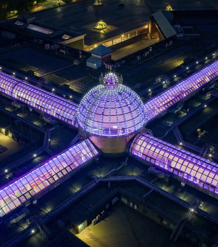 Meadowhall lights roof purple for Developmental Language Disorder Awareness Day