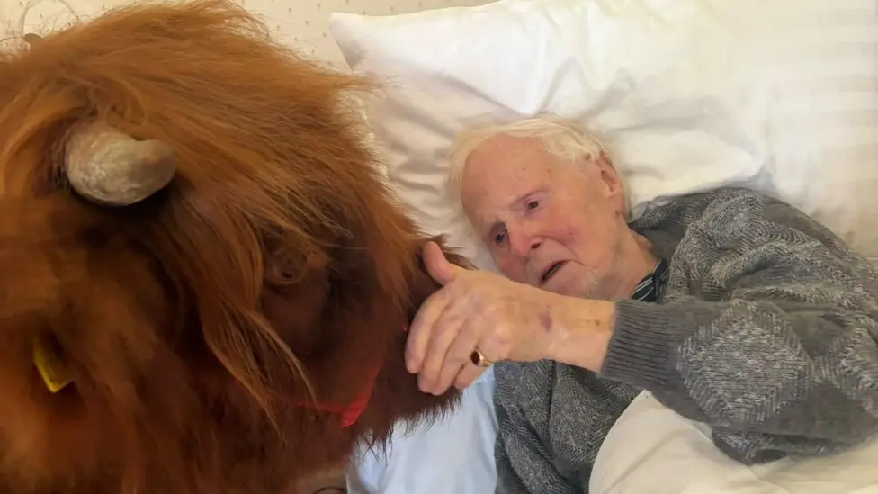 Dying man’s wish to see Highland cow fulfilled at his Basildon home