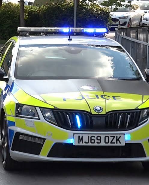 Boy, 11, injured in reported dog attack as man arrested in Manchester