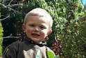 Two Charged in Connection with Tragic Death of Toddler in Dog Attack