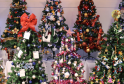 Francis House Children’s Hospice Hosts Festival Of Christmas Trees To Support Greater Manchester Families