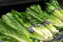 E. Coli Outbreak Linked to Contaminated Lettuce, Over 200 Affected