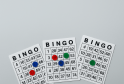 “Bingo Brawling”: Understanding the Competitive Side of Bingo – UKNIP