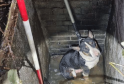 Kent Fire And Rescue Service Was Called To Help Rescue A Dog That Had Got Stuck In A Water Pipe In A Dyke Near Kemsdale Road, Faversham.