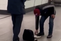 Scoundrel Snatches Busker’s Loose Change in Seconds