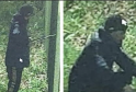 CCTV appeal after attempted burglary - Dover