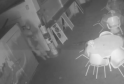 Beer Line Slashers Caught on CCTV in Midnight Attack at Saltdean Café