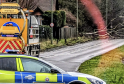 Chaos on the A217: Fallen Tree and Lamp Post Cause Traffic Mayhem