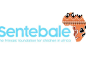 Charity Commission Launches Regulatory Compliance Case into Sentebale, Co-Founded by Prince Harry