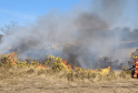 Firefighters Battling Large Wildfire in Blackwater Heathland