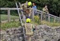 Historic Hare-itage Rescue at Lewes Priory