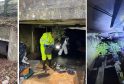 Huge Cannabis Farm Found Hidden Under M1 Motorway