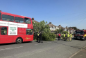 Man Injured After Bus Hits Tree in Welling Incident
