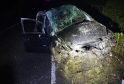 Miracle Escape After High-Speed Cumbria Crash