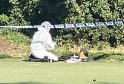 Police Investigate Serious Assault in Reading Park — Forensic Teams on Scene