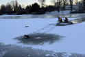 RSPCA Launches Ice-Breaking Rescue for Stranded Canada Goose in Birmingham