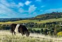 Rural Payments Agency Releases £525 Million to Support UK Farmers